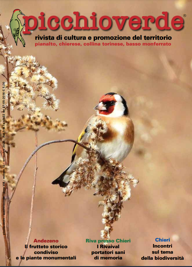 Picchioverde 12